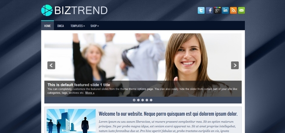 BizTrend - free wordpress themes