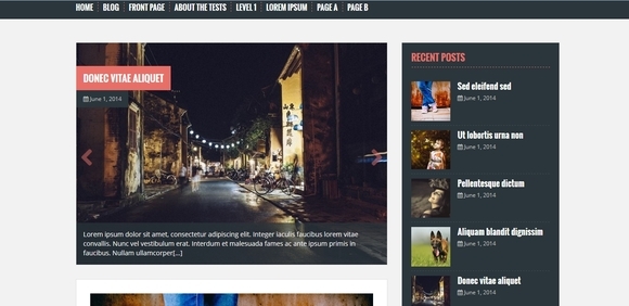 solon - free wordpress themes