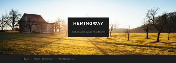 Hemingway - free wordpress themes