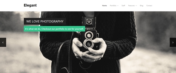 Elegant - free wordpress themes 2014