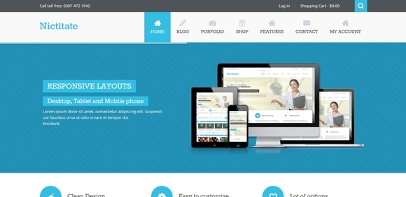 Nictitate - best wordpress themes