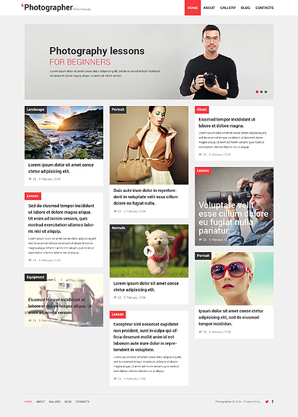  Photographer Portfolio Responsive WordPress Theme