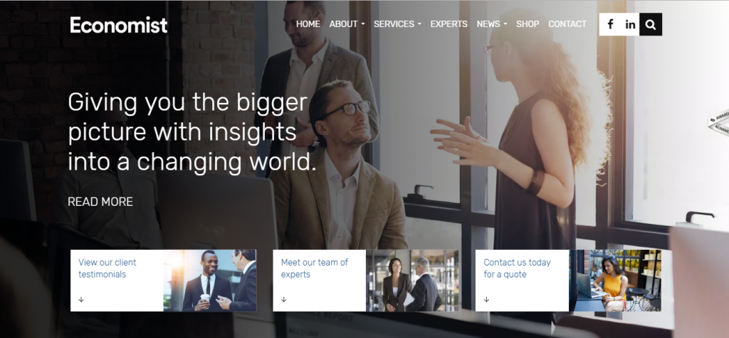 economist wordpress theme