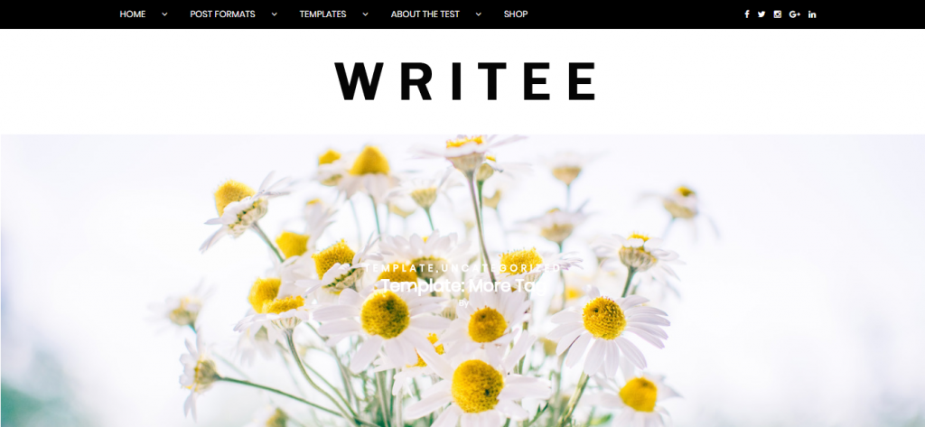 writee wordpress theme