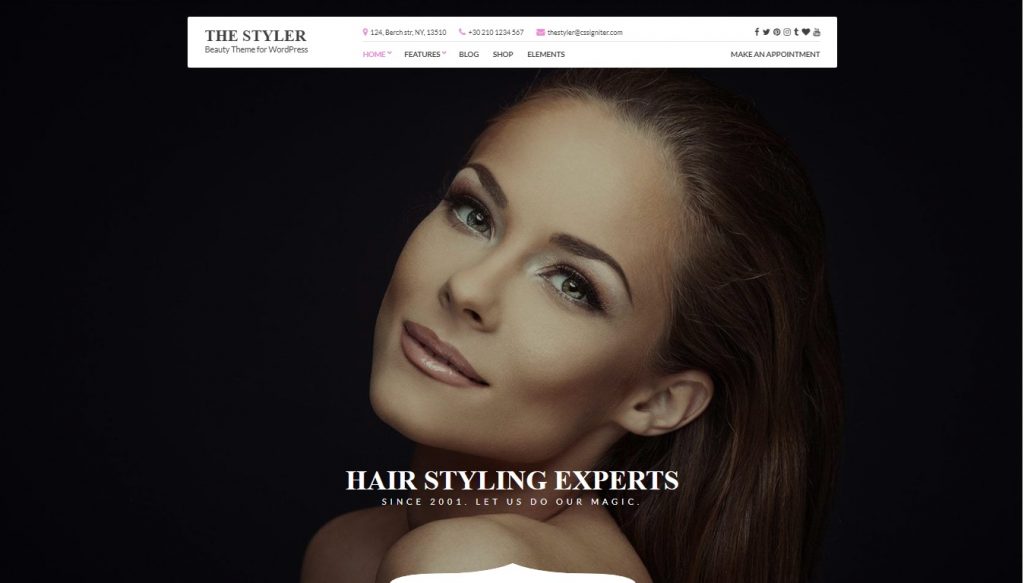 the styler wordpress theme