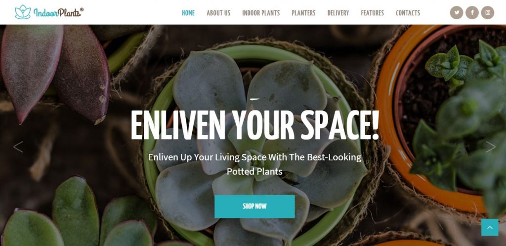 indoor plants wordpress theme