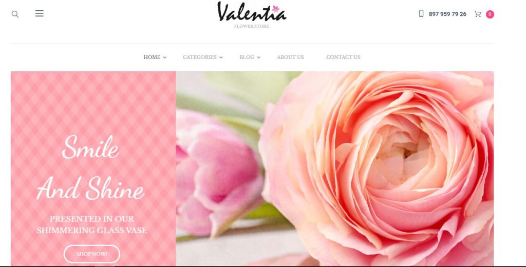 valentia wordpress theme